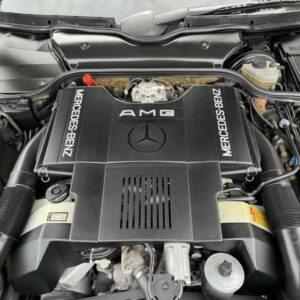 Original AMG M119 6.0L V8 Engine