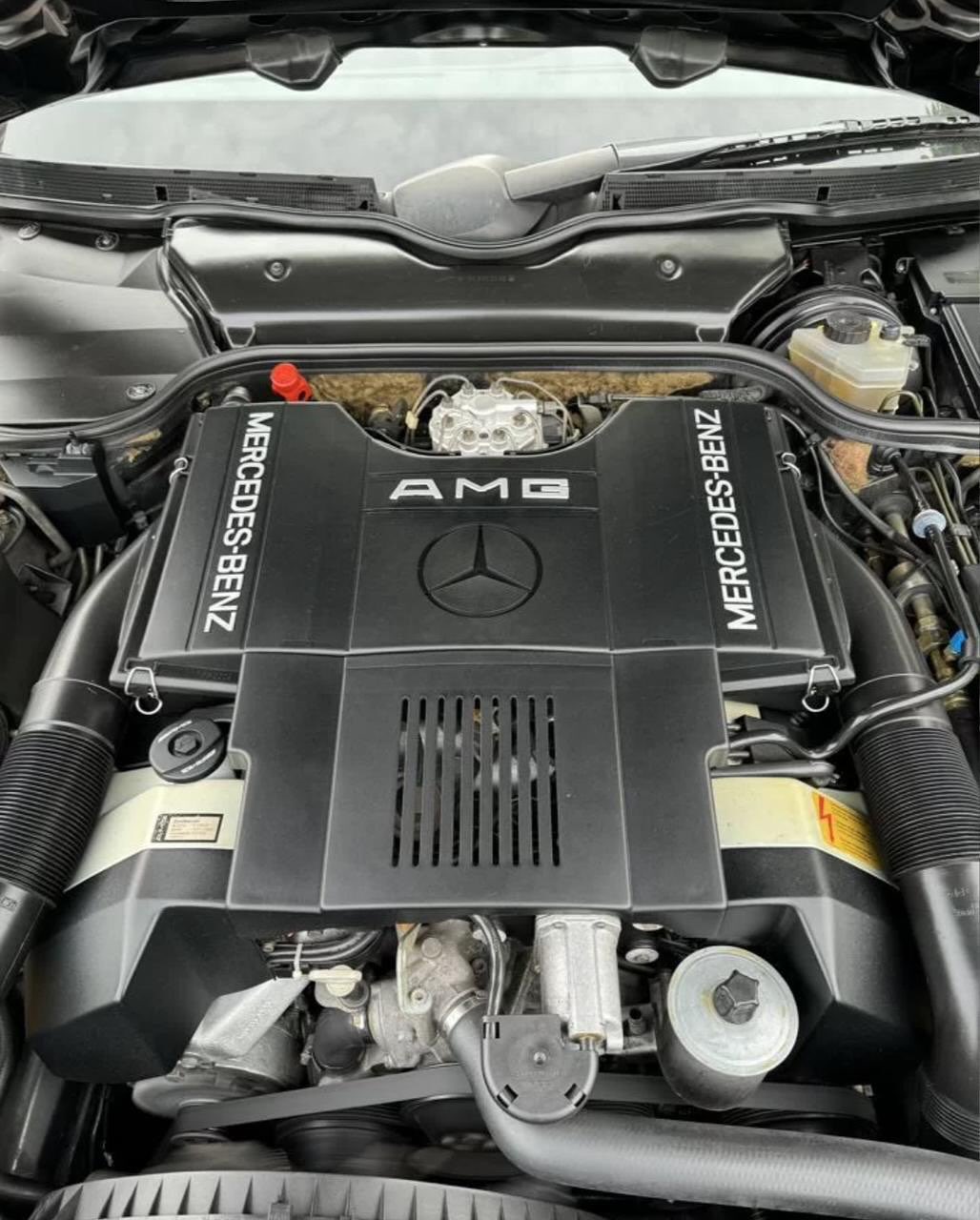 Original AMG M119 6.0L V8 Engine
