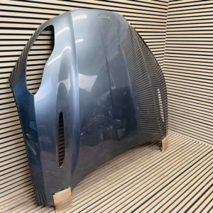 Hood of an Aston Martin DB11 V8