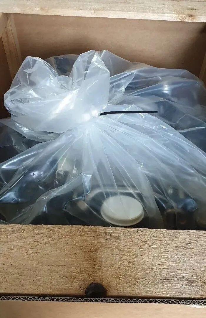 Mercedes-Benz M113 V8 Engine - Image 12