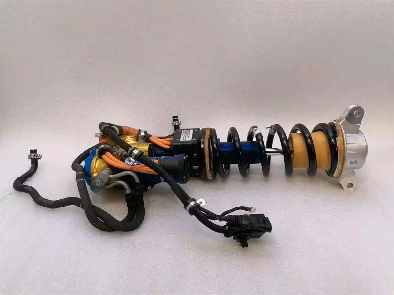 FERRARI PUROSANGUE F175 Rear Left Shock Absorber