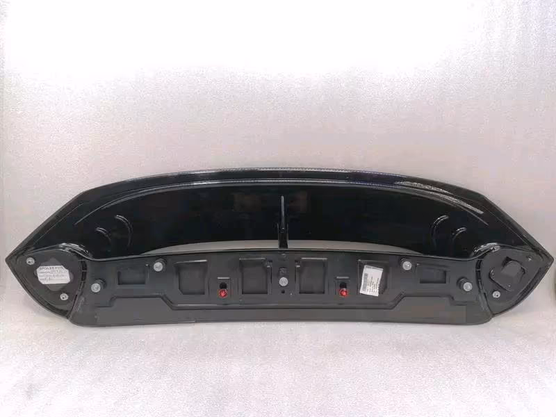 FERRARI PUROSANGUE F175 Rear Spoiler