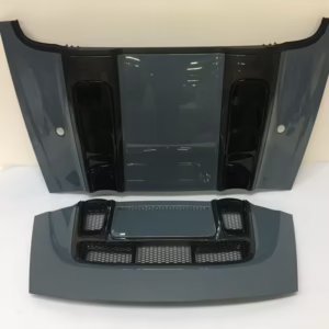 Audi R8 4S face lift Spyder bj2020 tailgate + carbon